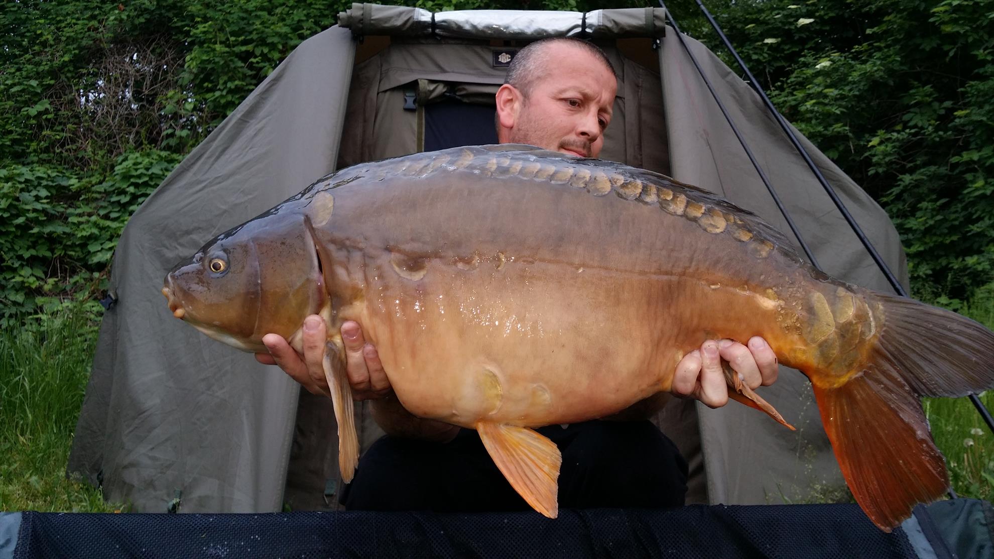 ISOLA DEL PESCATORE 4 - 7 mai 2015 - 20150505193527.jpg